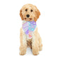 Pastel Rainbow Tie-Dye Pet Hoodie for Cats and Pups - Match Your Furry Friend in Style